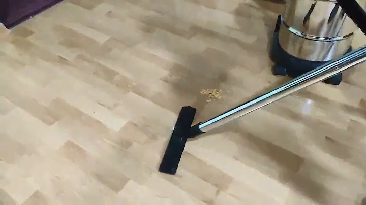 💨 🧹 Aspirapolvere per solidi e liquidi Lavor WT 30 XE  ottimo alleato del fai da te  🛠